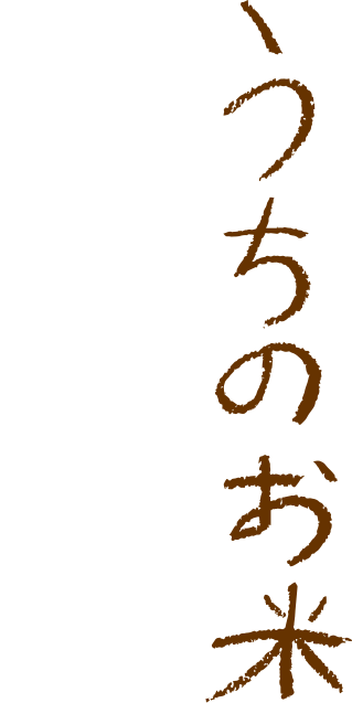 うちのお米