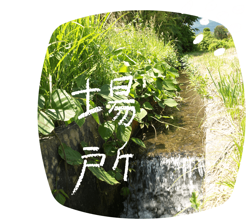 場所