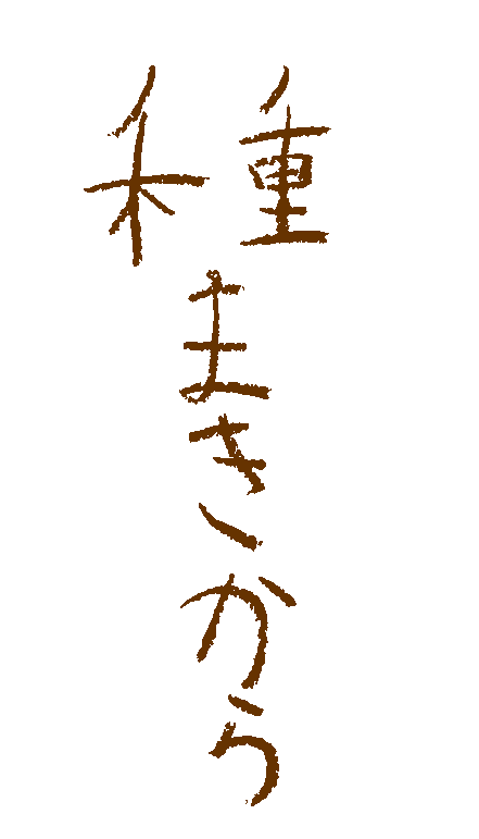種まきから