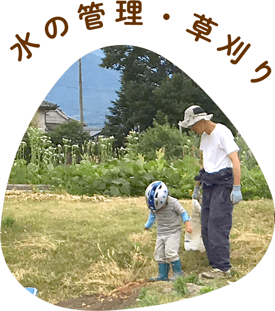 水の管理・草刈り